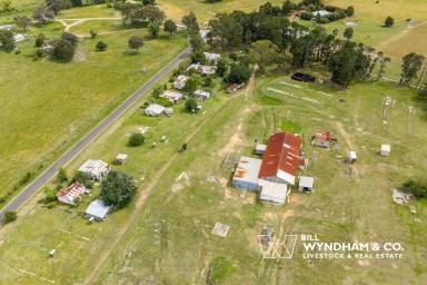 Other (Rural) For Sale - VIC - Ensay North - 3895 - Historic Ensay North Acreage with Big Potential (Image 2)