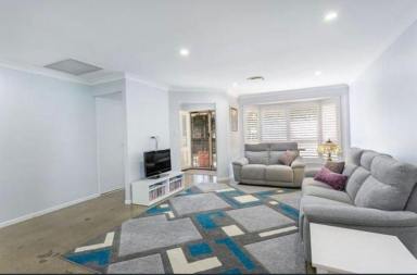 Acreage/Semi-rural For Sale - QLD - Karalee - 4306 - Premium Rare Karalee Acreage Gem Spacious Home, Shed, Solar & Stunning Outdoor Living Modern Acreage Sanctuary Renovated Family Home  (Image 2)