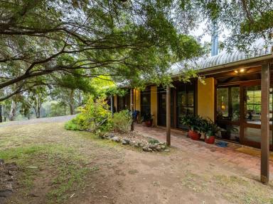 Acreage/Semi-rural Sold - NSW - South Wolumla - 2550 - MUDBRICK CHARM & CHARACTER  (Image 2)