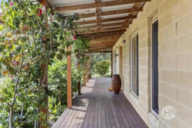 Acreage/Semi-rural For Sale - VIC - Balnarring - 3926 - A Peaceful Peninsula Estate with Sweeping Vineyard Views (Image 2)