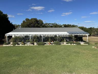 House For Sale - WA - Nilgen - 6044 - Modern Rural Retreat with Large Living, Massive Shed & Nature Reserve Outlook (Image 2)