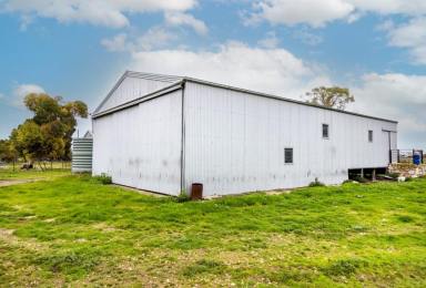 Mixed Farming For Sale - SA - Sherlock - 5301 - MIXED FARMING PROPERTY OF SCALE ON 5 TITLES (Image 2)