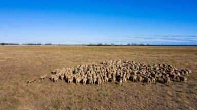 Mixed Farming For Sale - SA - Sherlock - 5301 - MIXED FARMING PROPERTY OF SCALE ON 5 TITLES  (Image 2)