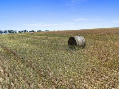 Mixed Farming For Sale - SA - Sherlock - 5301 - MIXED FARMING PROPERTY OF SCALE ON 5 TITLES  (Image 2)