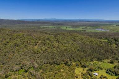 Acreage/Semi-rural For Sale - NSW - Crescent Head - 2440 - 52 ha of Freedom-Ocean Views-Minutes from Surf (Image 2)