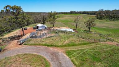 Livestock For Sale - VIC - Heywood - 3304 - An Outstanding District Outpaddock! (Image 2)