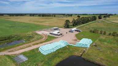 Livestock For Sale - VIC - Panmure - 3265 - Highest calibre and quality property - high production livestock and fodder factory.  (Image 2)