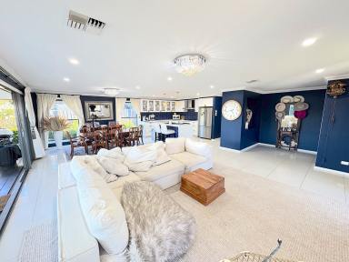 House For Sale - NSW - Goulburn - 2580 - Modern Designer Family Home  (Image 2)