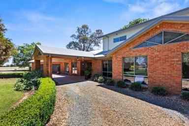 Mixed Farming For Sale - VIC - Cohuna - 3568 - A Premium Cohuna Holding With Exceptional Productivity (Image 2)