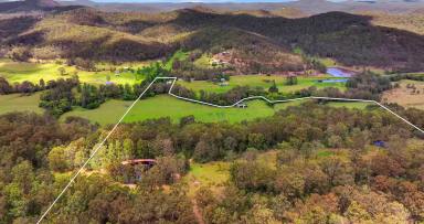 Lifestyle For Sale - NSW - Laguna - 2325 - 'Twin Pines' - 112 Acres with Two Homes & Tar Sealed Access (Image 2)