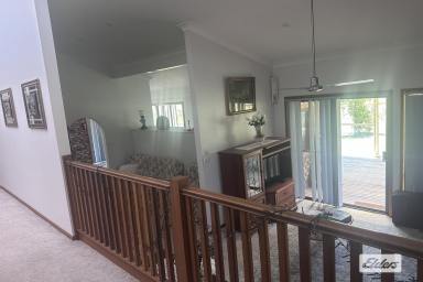 House For Lease - NSW - Upper Lansdowne - 2430 - Country retreat with very low maintenance  (Image 2)