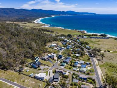 House For Sale - TAS - Bicheno - 7215 - A Masterpiece - Coastal Architecture, Sea & Bicheno Views (Image 2)