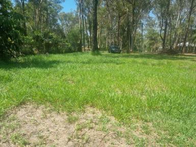 Residential Block For Sale - QLD - Macleay Island - 4184 - Elevated, Sandy-Soil Block in a Quiet, Tree-Lined Street (Image 2)
