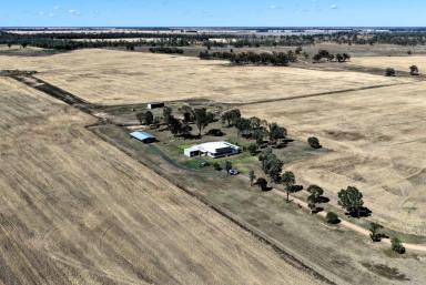 Other (Rural) For Sale - NSW - Pallamallawa - 2399 - "Weetah Cottage" 18345 Gwydir Highway Pallamallawa (Image 2)