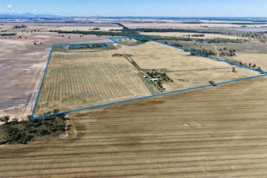 Other (Rural) For Sale - NSW - Pallamallawa - 2399 - "Weetah Cottage" 18345 Gwydir Highway Pallamallawa (Image 2)