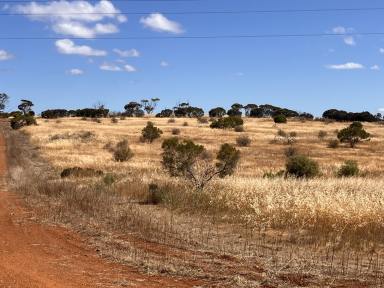 Residential Block Sold - WA - Ravensthorpe - 6346 - Rural, Range, Roam  (Image 2)