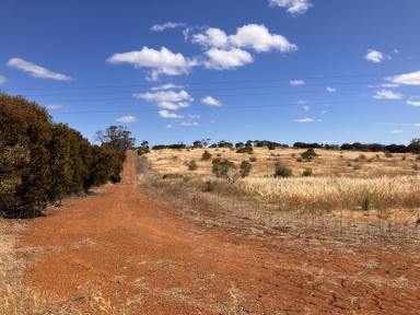 Residential Block Sold - WA - Ravensthorpe - 6346 - Rural, Range, Roam  (Image 2)