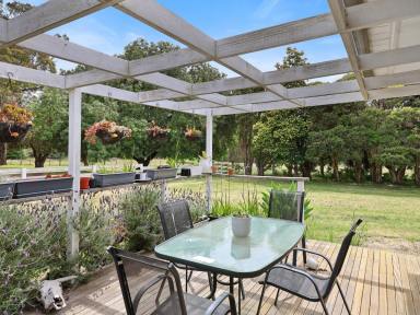 Lifestyle For Sale - VIC - Branxholme - 3302 - Peaceful country farmlet (Image 2)