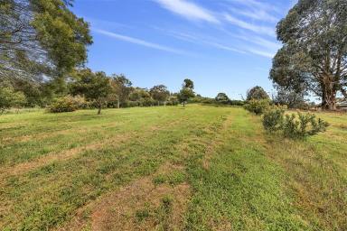 Residential Block For Sale - NSW - Batlow - 2730 - Large Lot! (Image 2)