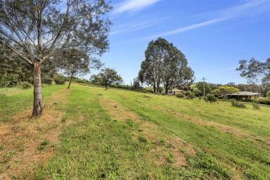Residential Block For Sale - NSW - Batlow - 2730 - Large Lot! (Image 2)