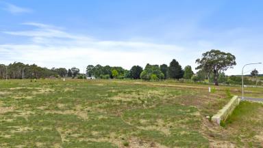 Residential Block For Sale - NSW - Lidsdale - 2790 - 2,210sqm of Lifestyle Land in a Quality Estate (Image 2)