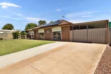 House For Sale - NSW - Buronga - 2739 - Three Residences with Endless Possibilities (Image 2)