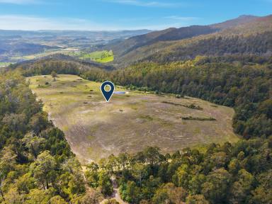 Residential Block For Sale - TAS - Broadmarsh - 7030 - EOI in the $400,000's - Stunning 46-Acre Lifestyle Opportunity  (Image 2)
