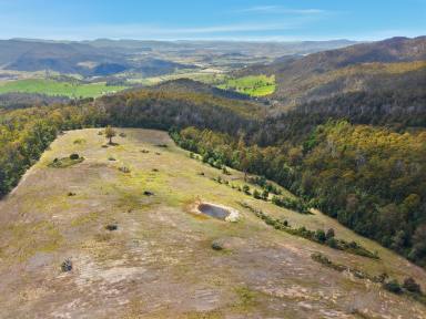 Residential Block For Sale - TAS - Broadmarsh - 7030 - EOI in the $400,000's - Stunning 46-Acre Lifestyle Opportunity (Image 2)