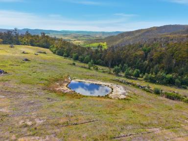 Residential Block For Sale - TAS - Broadmarsh - 7030 - EOI in the $400,000's - Stunning 46-Acre Lifestyle Opportunity  (Image 2)