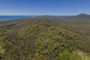 Other (Rural) For Sale - NSW - Crescent Head - 2440 - 52 ha of Freedom-Ocean Views-Minutes from Surf  (Image 2)
