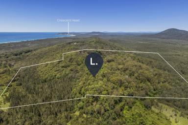 Other (Rural) For Sale - NSW - Crescent Head - 2440 - 52 ha of Freedom-Ocean Views-Minutes from Surf  (Image 2)