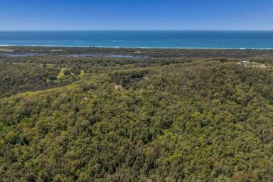 Other (Rural) For Sale - NSW - Crescent Head - 2440 - 52 ha of Freedom-Ocean Views-Minutes from Surf  (Image 2)