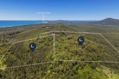 Other (Rural) For Sale - NSW - Crescent Head - 2440 - 52 ha of Freedom-Ocean Views-Minutes from Surf (Image 2)