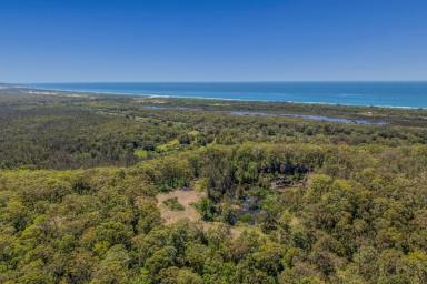 Other (Rural) For Sale - NSW - Crescent Head - 2440 - 52 ha of Freedom-Ocean Views-Minutes from Surf  (Image 2)
