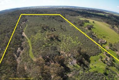 Lifestyle For Sale - VIC - Moormbool West - 3523 - IRONBARK HAVEN near HEATHCOTE  (Image 2)