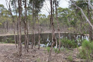 Lifestyle For Sale - VIC - Moormbool West - 3523 - IRONBARK HAVEN near HEATHCOTE  (Image 2)