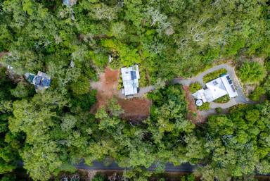 House For Sale - QLD - Daintree - 4873 - Potential and Possibility on a Private 2-Hectare Rainforest Retreat (Image 2)
