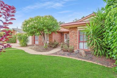 House For Sale - VIC - Mildura - 3500 - QUALITY BRICK VENEER HOME (Image 2)