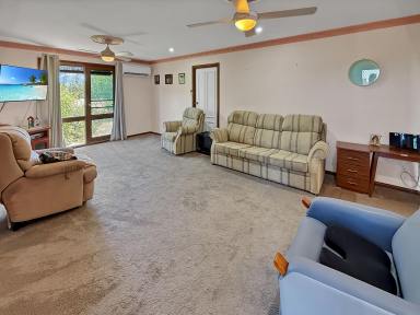 House For Sale - NSW - Leeton - 2705 - RURAL BUT IN TOWN (Image 2)