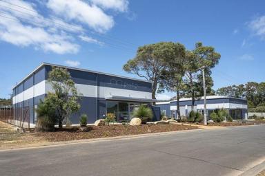 Showrooms/Bulky Goods For Lease - WA - Augusta - 6290 - Showroom for Lease in Central Location  (Image 2)