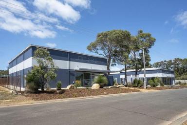 Showrooms/Bulky Goods For Lease - WA - Augusta - 6290 - Showroom for Lease in Central Location  (Image 2)