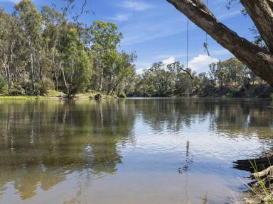 Lifestyle For Sale - VIC - Seymour - 3660 - CATCH OF THE DAY - GOULBURN RIVER FRONTAGE (Image 2)