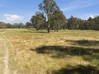 Lifestyle For Sale - VIC - Seymour - 3660 - CATCH OF THE DAY - GOULBURN RIVER FRONTAGE (Image 2)