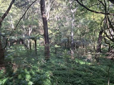 Lifestyle For Sale - VIC - Foster - 3960 - RURAL ESCAPE (Image 2)