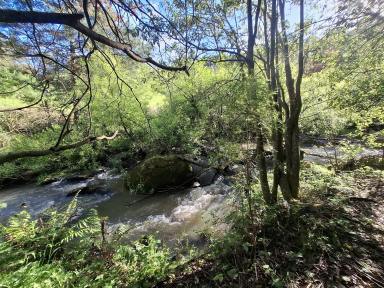 Lifestyle For Sale - VIC - Foster - 3960 - RURAL ESCAPE (Image 2)