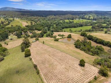 Acreage/Semi-rural For Sale - QLD - North Deep Creek - 4570 - Well-Set-Up Horse & Cattle Property - Productive, Secure & Fully Off-Grid  (Image 2)