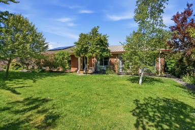 House For Sale - TAS - Longford - 7301 - WELCOME HOME! (Image 2)