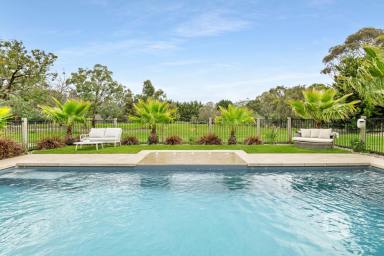 Acreage/Semi-rural For Sale - VIC - Langwarrin - 3910 - A Masterpiece on the Edge of Town (Image 2)