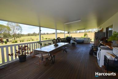 Lifestyle For Sale - QLD - Morganville - 4671 - RIVER FRONTAGE ACREAGE (Image 2)