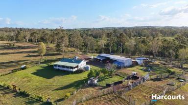 Lifestyle For Sale - QLD - Morganville - 4671 - RIVER FRONTAGE ACREAGE (Image 2)